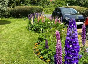 Photo 20- click for photo gallery